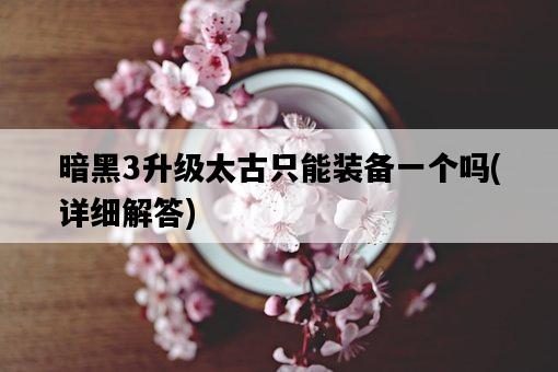 暗黑3升級太古只能裝備一個嗎，詳細解答-圖1