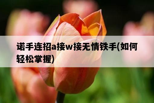 諾手連招a接w接無情鐵手，如何輕松掌握-圖1