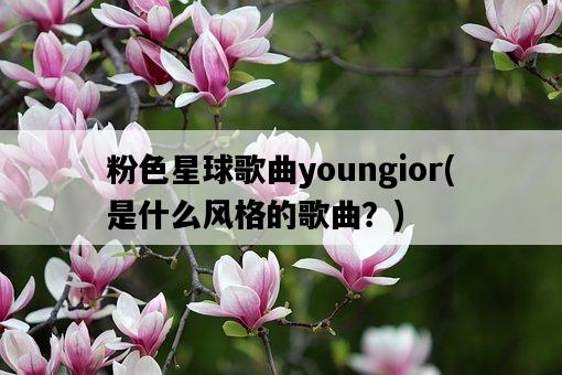 粉色星球歌曲youngior，是什么風格的歌曲？-圖1