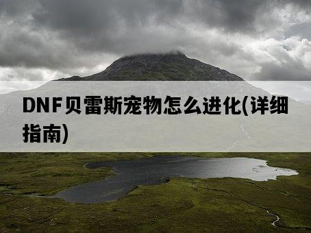 DNF貝雷斯寵物怎么進化，詳細指南-圖1