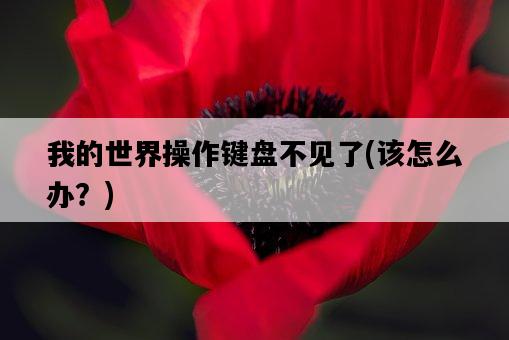 我的世界操作鍵盤不見了，該怎么辦？-圖1