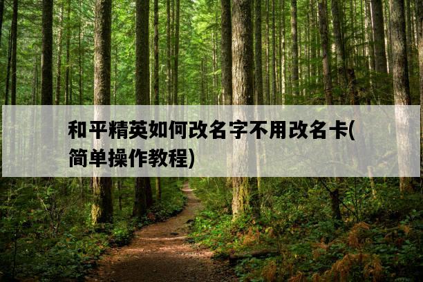 和平精英如何改名字不用改名卡，簡單操作教程-圖1