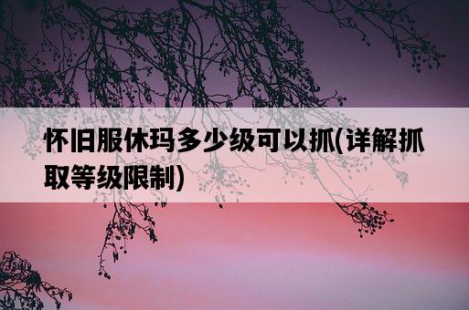 懷舊服休瑪多少級可以抓，詳解抓取等級限制-圖1