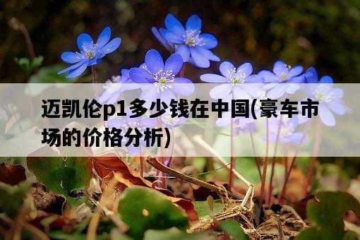 邁凱倫p1多少錢在中國，豪車市場的價格分析-圖1