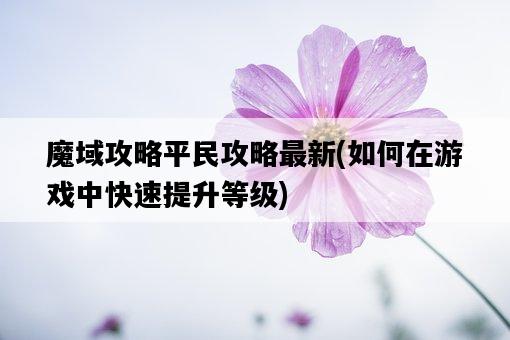 魔域攻略平民攻略最新，如何在游戲中快速提升等級-圖1