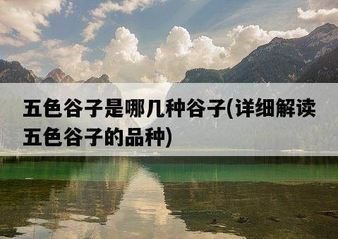 五色谷子是哪幾種谷子，詳細解讀五色谷子的品種-圖1