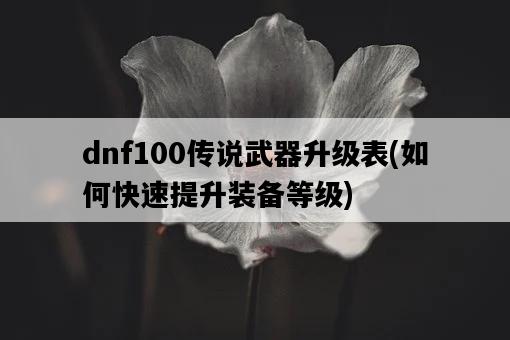 dnf100傳說武器升級表，如何快速提升裝備等級-圖1