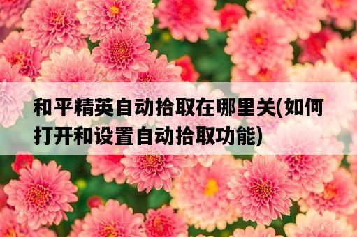 和平精英自動拾取在哪里關，如何打開和設置自動拾取功能-圖1