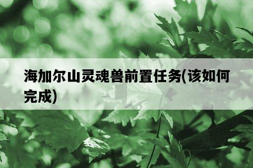 海加爾山靈魂獸前置任務，該如何完成-圖1