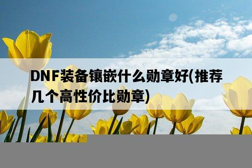 DNF裝備鑲嵌什么勛章好，推薦幾個高性價比勛章-圖1