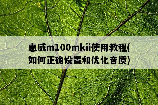 惠威m100mkii使用教程，如何正確設置和優化音質-圖1