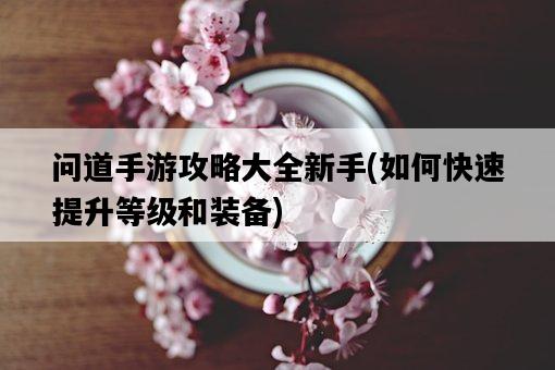 問道手游攻略大全新手，如何快速提升等級和裝備-圖1