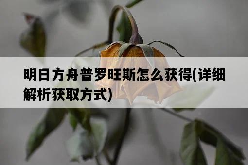 明日方舟普羅旺斯怎么獲得，詳細解析獲取方式-圖1