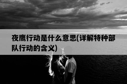 夜鷹行動是什么意思，詳解特種部隊行動的含義-圖1