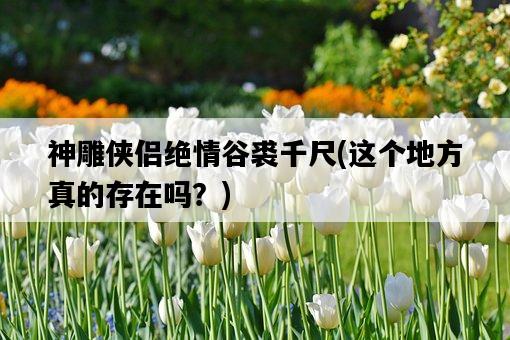 神雕俠侶絕情谷裘千尺，這個地方真的存在嗎？-圖1