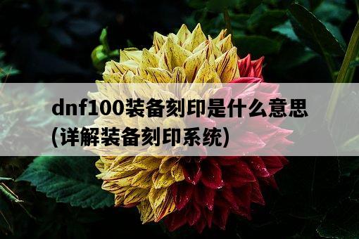 dnf100裝備刻印是什么意思，詳解裝備刻印系統-圖1