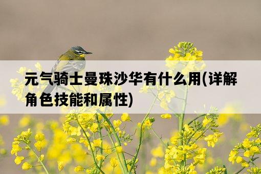 元氣騎士曼珠沙華有什么用，詳解角色技能和屬性-圖1