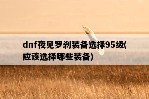 dnf夜見羅剎裝備選擇95級，應該選擇哪些裝備-圖1