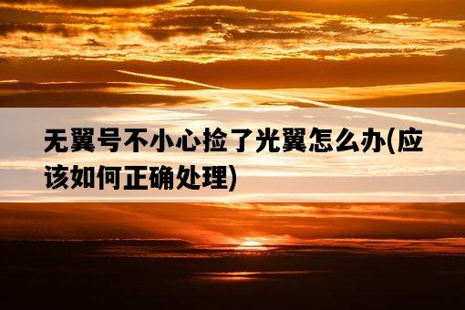 無翼號不小心撿了光翼怎么辦，應該如何正確處理-圖1