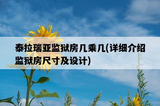 泰拉瑞亞監獄房幾乘幾，詳細介紹監獄房尺寸及設計-圖1