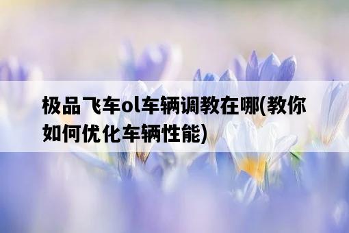 極品飛車ol車輛調教在哪，教你如何優化車輛性能-圖1