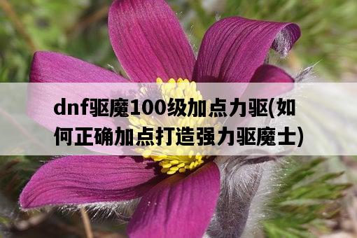 dnf驅魔100級加點力驅，如何正確加點打造強力驅魔士-圖1