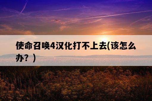 使命召喚4漢化打不上去，該怎么辦？-圖1