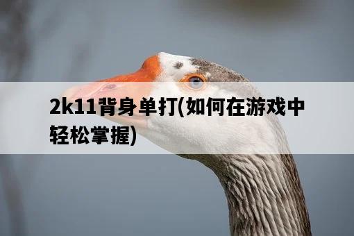 2k11背身單打，如何在游戲中輕松掌握-圖1