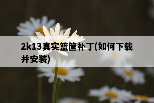 2k13真實籃筐補丁，如何下載并安裝-圖1