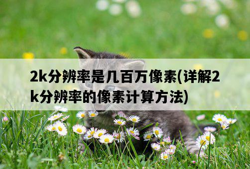 2k分辨率是幾百萬像素，詳解2k分辨率的像素計算方法-圖1