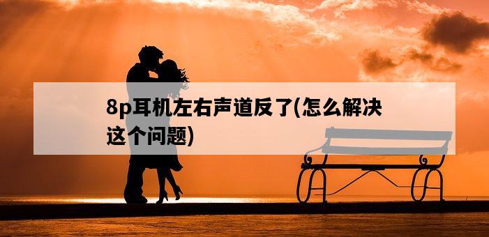 8p耳機左右聲道反了，怎么解決這個問題-圖1