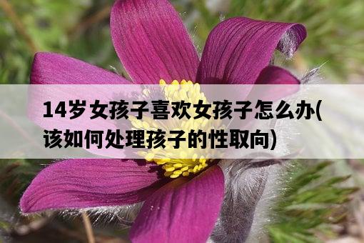 14歲女孩子喜歡女孩子怎么辦，該如何處理孩子的性取向-圖1