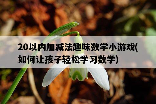 20以內加減法趣味數學小游戲，如何讓孩子輕松學習數學-圖1