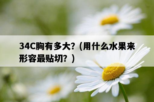 34C胸有多大？，用什么水果來形容最貼切？-圖1