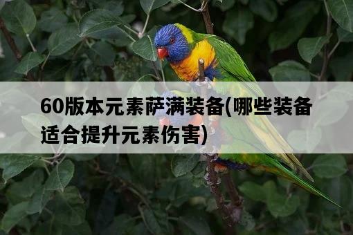 60版本元素薩滿裝備，哪些裝備適合提升元素傷害-圖1