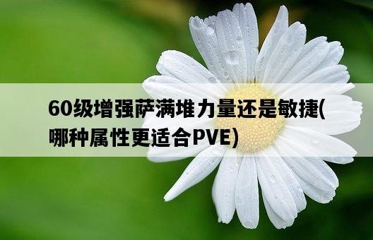 60級增強薩滿堆力量還是敏捷，哪種屬性更適合PVE-圖1