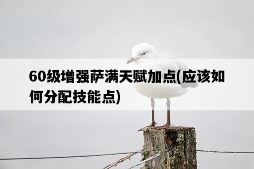60級增強薩滿天賦加點，應該如何分配技能點-圖1