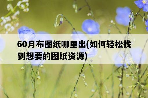 60月布圖紙哪里出，如何輕松找到想要的圖紙資源-圖1