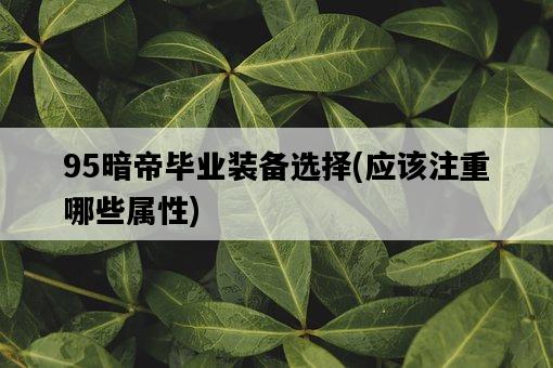 95暗帝畢業裝備選擇，應該注重哪些屬性-圖1