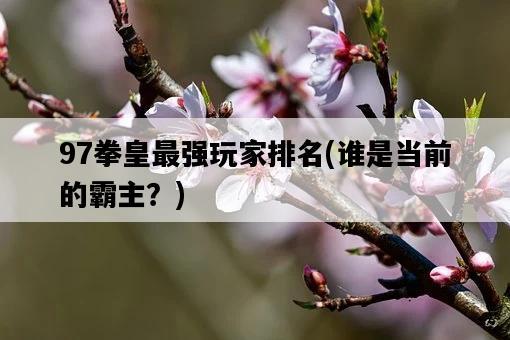 97拳皇最強玩家排名，誰是當前的霸主？-圖1