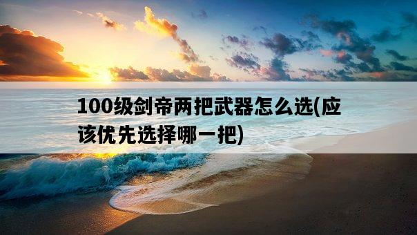 100級劍帝兩把武器怎么選，應該優先選擇哪一把-圖1