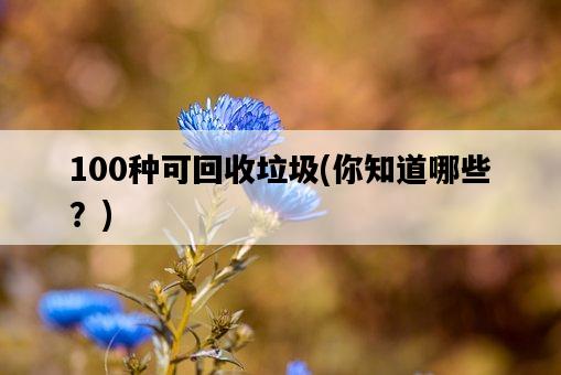 100種可回收垃圾，你知道哪些？-圖1