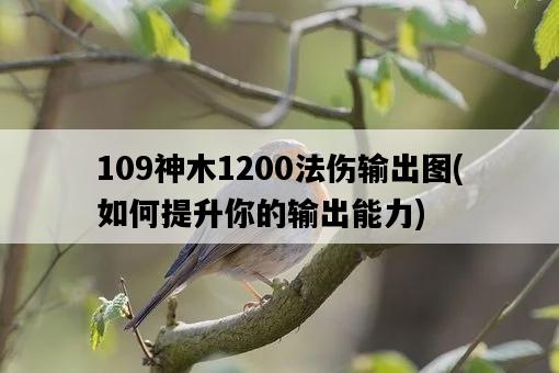 109神木1200法傷輸出圖，如何提升你的輸出能力-圖1