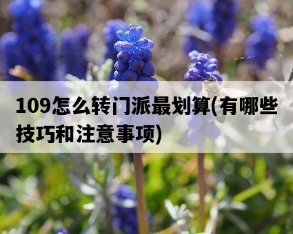 109怎么轉門派最劃算,有哪些技巧和注意事項-圖1 109怎么轉門派最劃算,有哪些技巧和注意事項-圖1