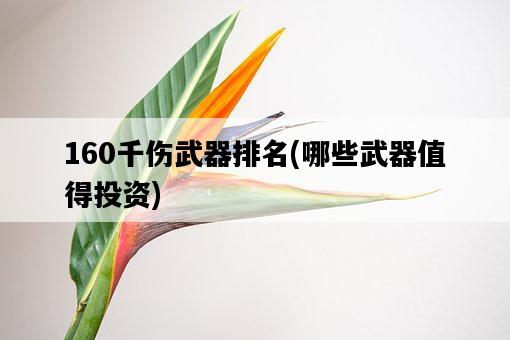 160千傷武器排名，哪些武器值得投資-圖1