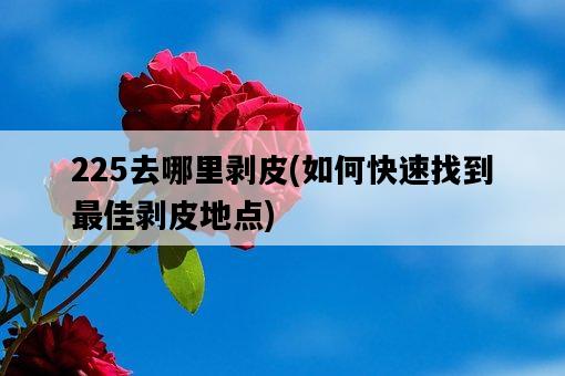 225去哪里剝皮，如何快速找到最佳剝皮地點-圖1