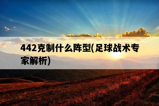 442克制什么陣型，足球戰術專家解析-圖1