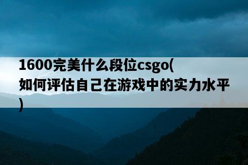 1600完美什么段位csgo，如何評估自己在游戲中的實力水平-圖1