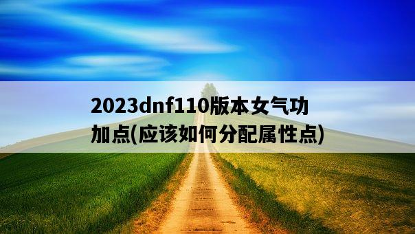 2023dnf110版本女氣功加點，應該如何分配屬性點-圖1