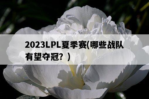 2023LPL夏季賽，哪些戰隊有望奪冠？-圖1